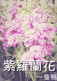 紫罗兰花盆图片